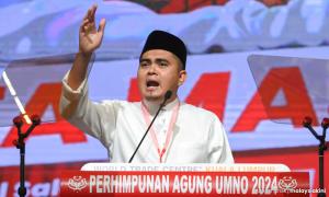 巫统大会焦点：艾科玛揭晓去留，党选或再推迟