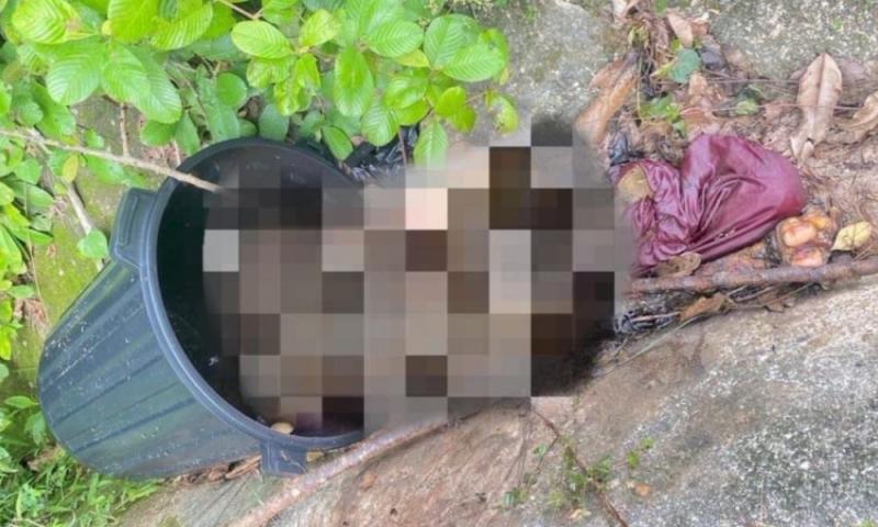 Pembunuhan kejam tanda tandusnya nilai kemanusiaan - pakar