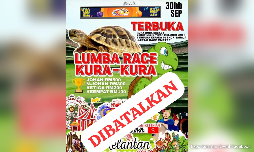 Penganjur tak jadi buat 'lumba race kura-kura' di Kelantan