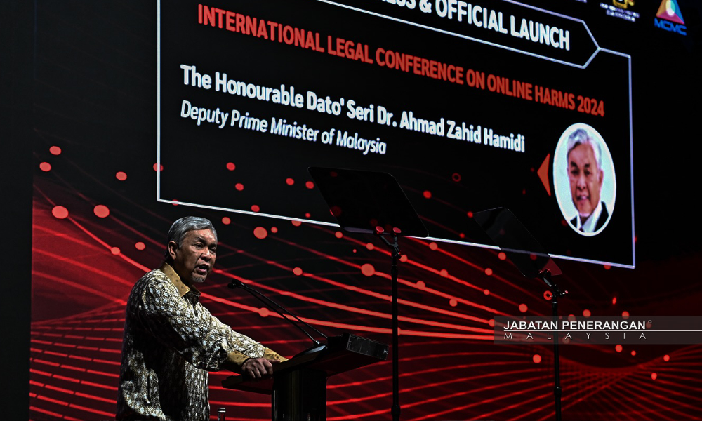 Online Safety Bill 2024 in people's interest, especially children: Zahid