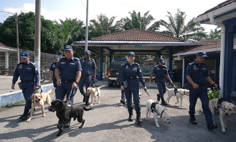 Jabatan Kastam Diraja Malaysia pun ada Unit K9, Jom Baca