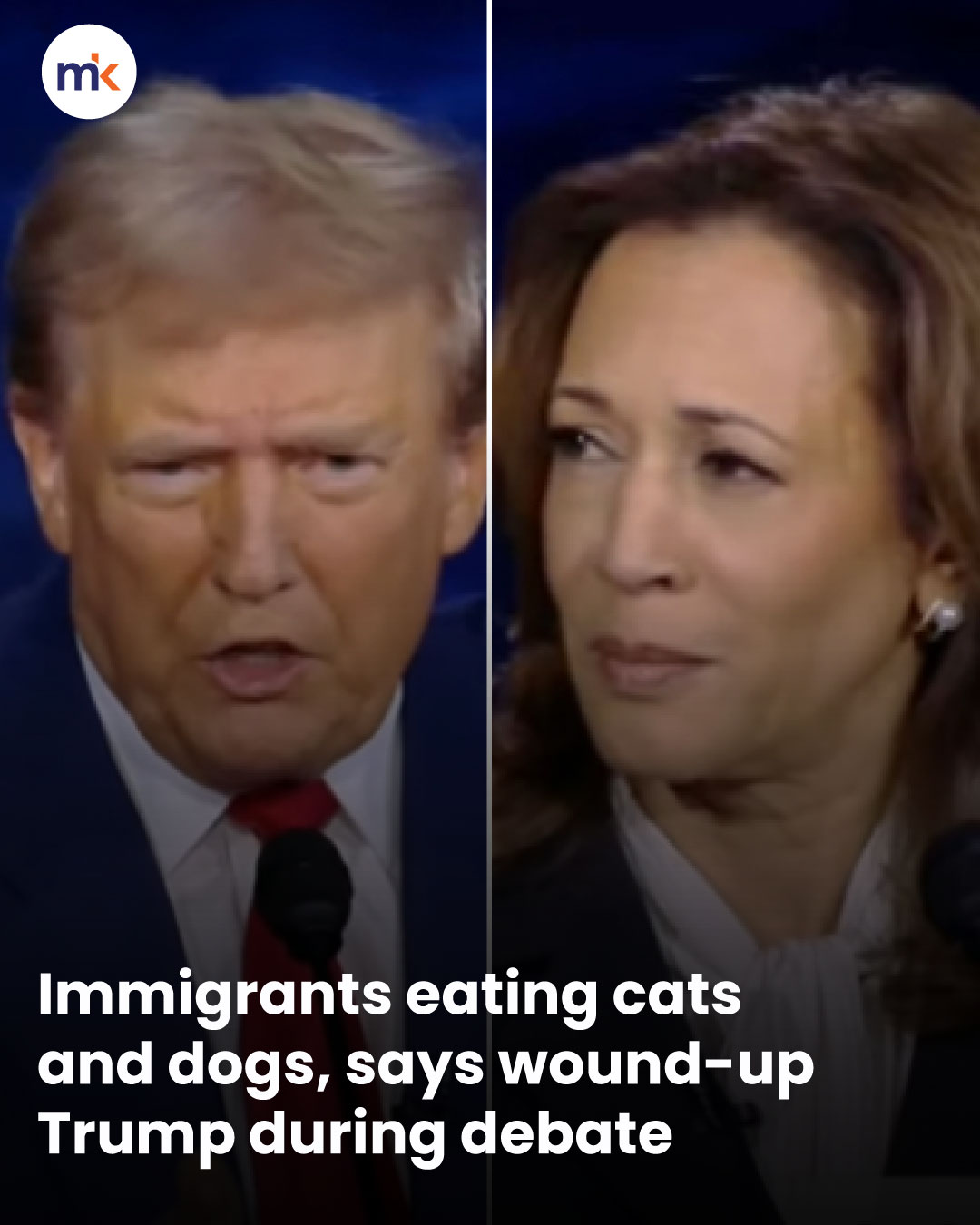 Immigrants eating cats and dogs, says wound-up Trump during debate
