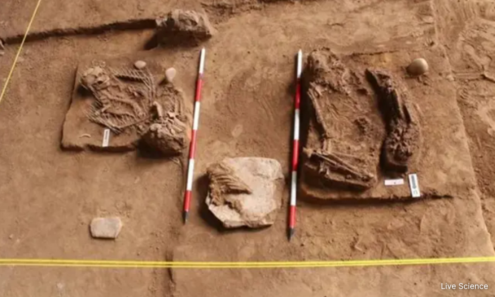 Archaeologists find 16,000-year-old skeletons in K'tan's Nenggiri Valley