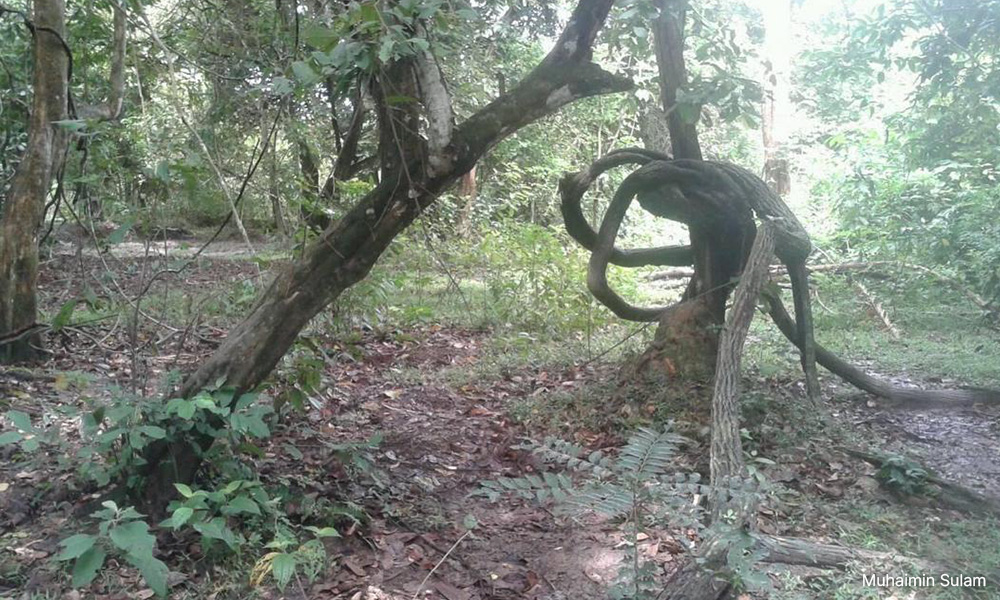 KOLUM | Jirat Cina di kampung Melayu