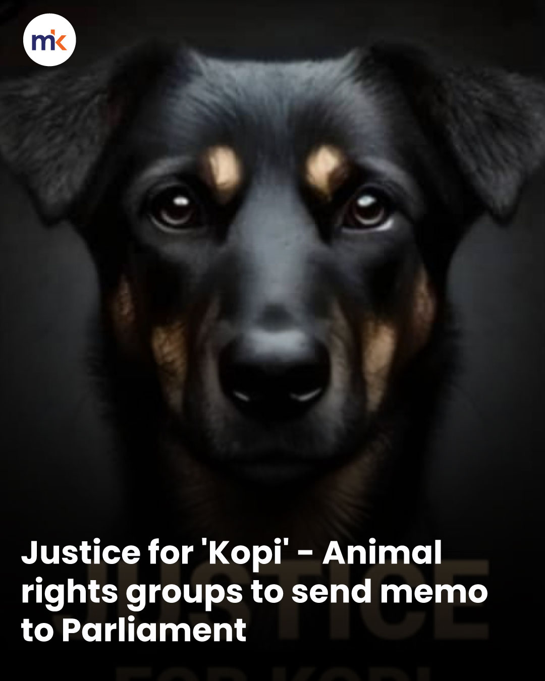 Justice for 'Kopi' - Animal rights groups to send memo to Parliament
