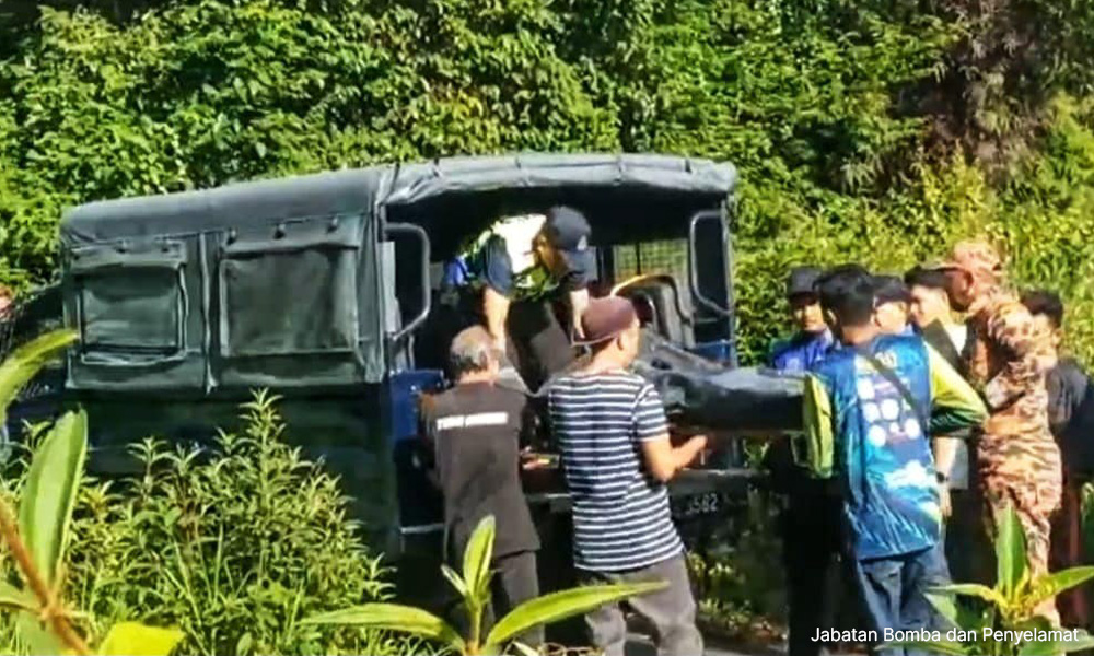 Elephant attack: Perhilitan to keep monitoring Kg Basung