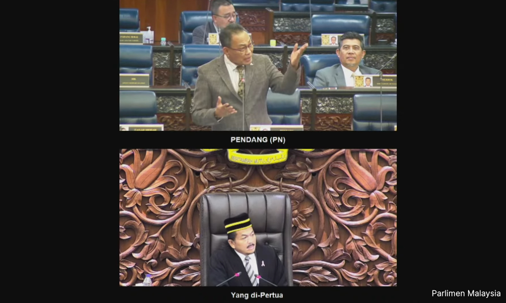 Hina speaker di TikTok: MP Pendang digantung 10 hari
