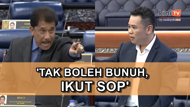 'Ini salah, tak boleh bunuh!' - Dewan kecoh isu anjing liar di Besut