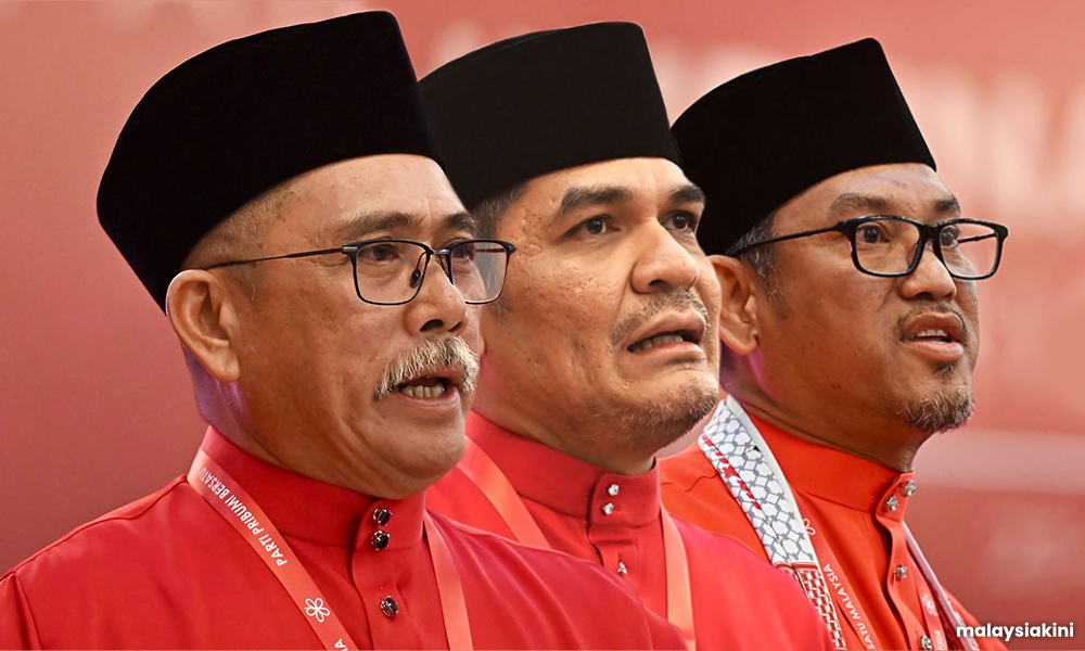'Compromise team' wins Bersatu VP race, 'cartel' in supreme council