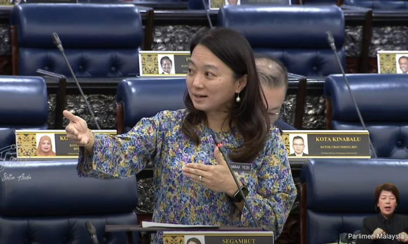 超出卡玛鲁扎曼辩护范围，杨巧双寻求撤销四证词