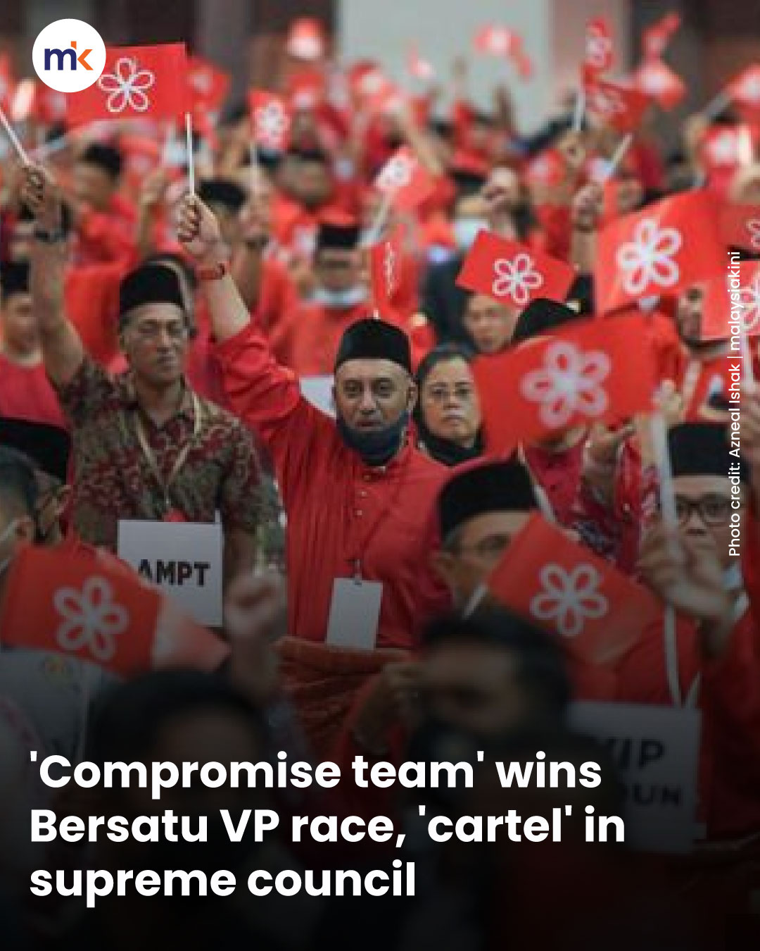'Compromise team' wins Bersatu VP race, 'cartel' in supreme council