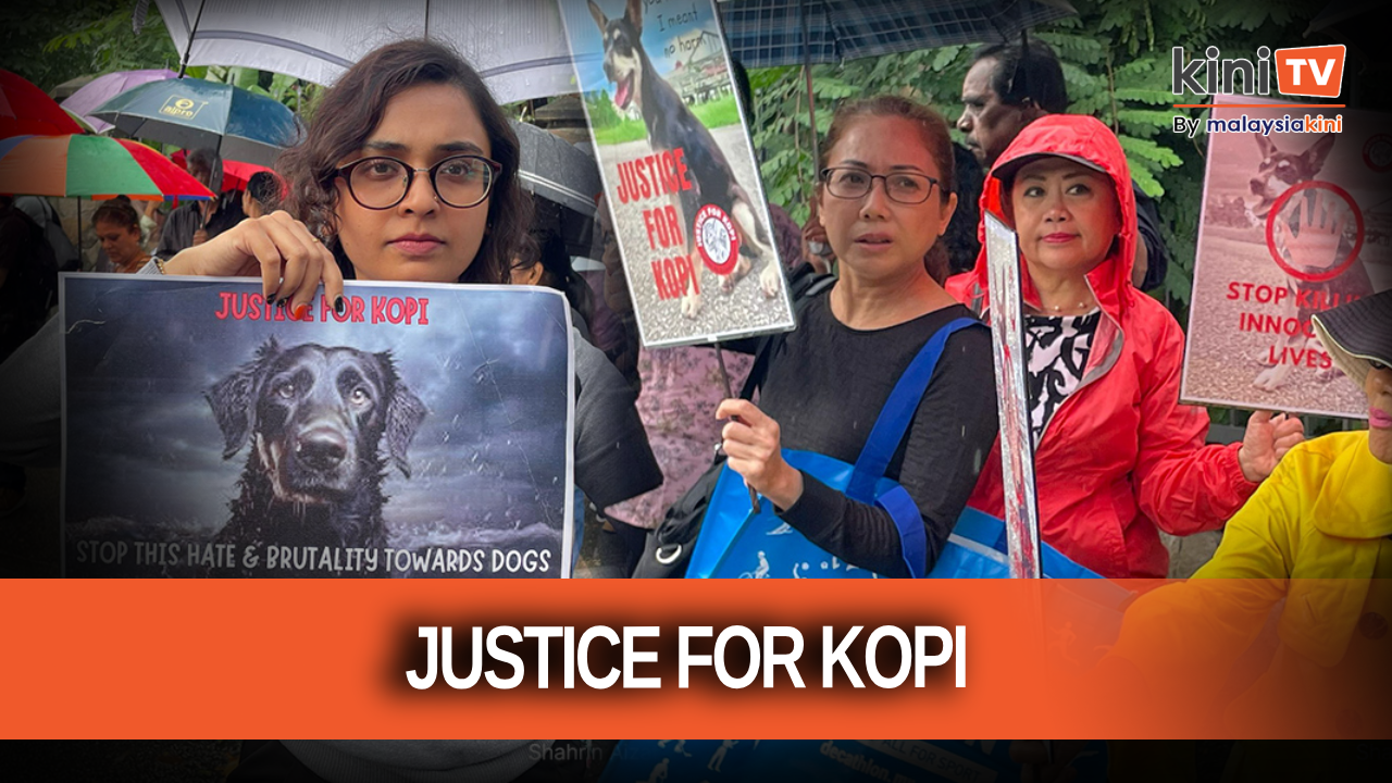 Around 100 people brave rain to demand 'Justice for Kopi' at Parliament gates