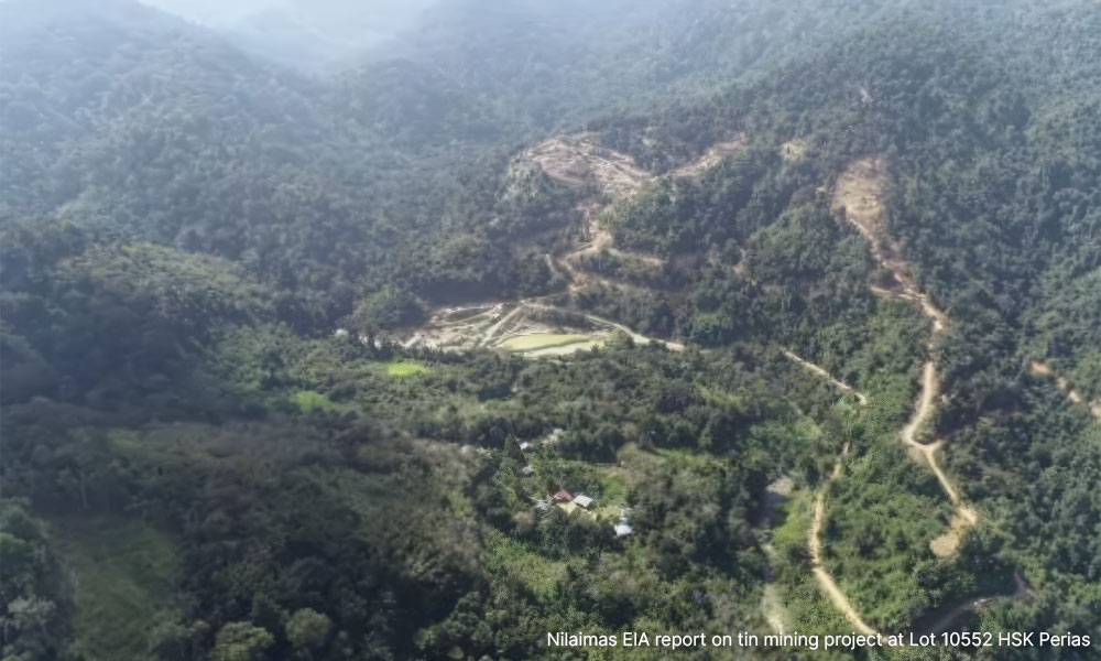 Nearly 4 in 5 surveyed reject Kelantan forest reserve tin mine - EIA