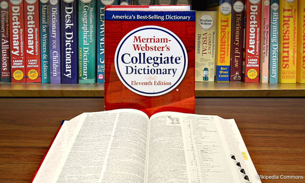 Merriam-Webster dictionary names 'polarisation' as word of 2024