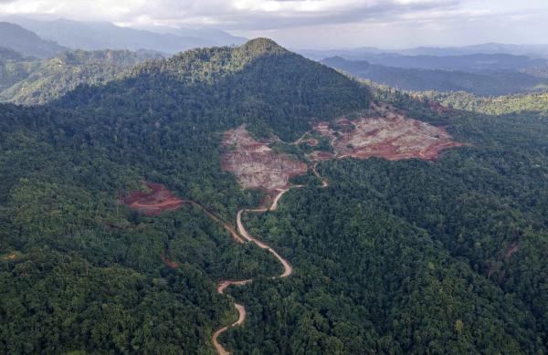 Bukit Tambun