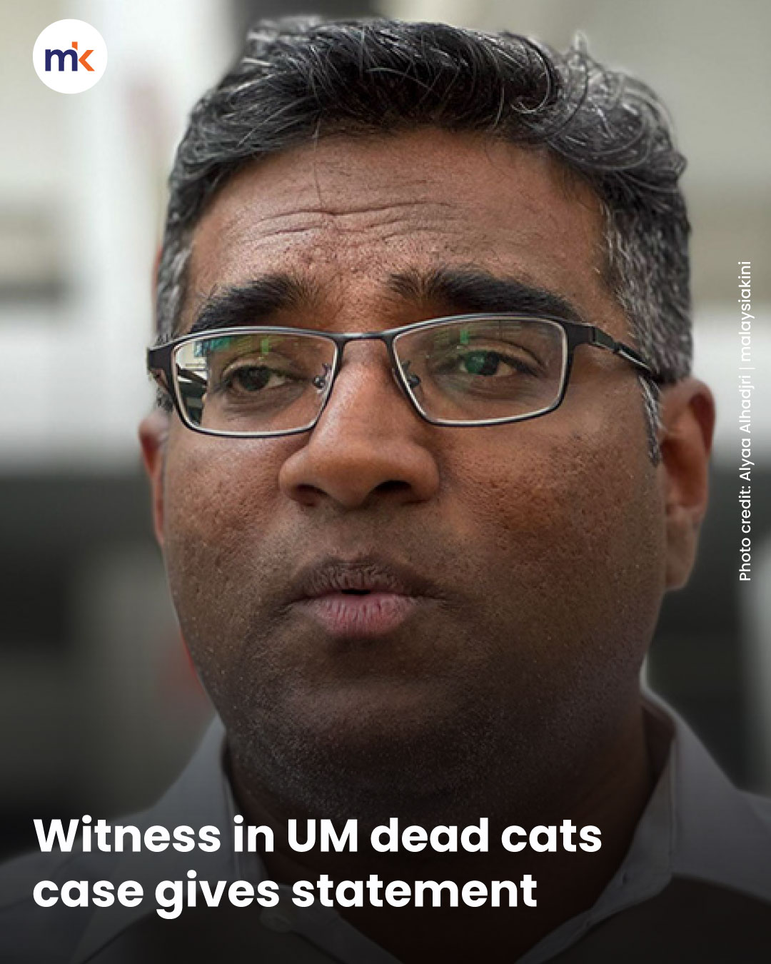 Witness in UM dead cats case gives statement
