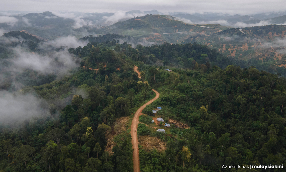 'It's just maintenance work,' mining firm says amid Orang Asli uproar