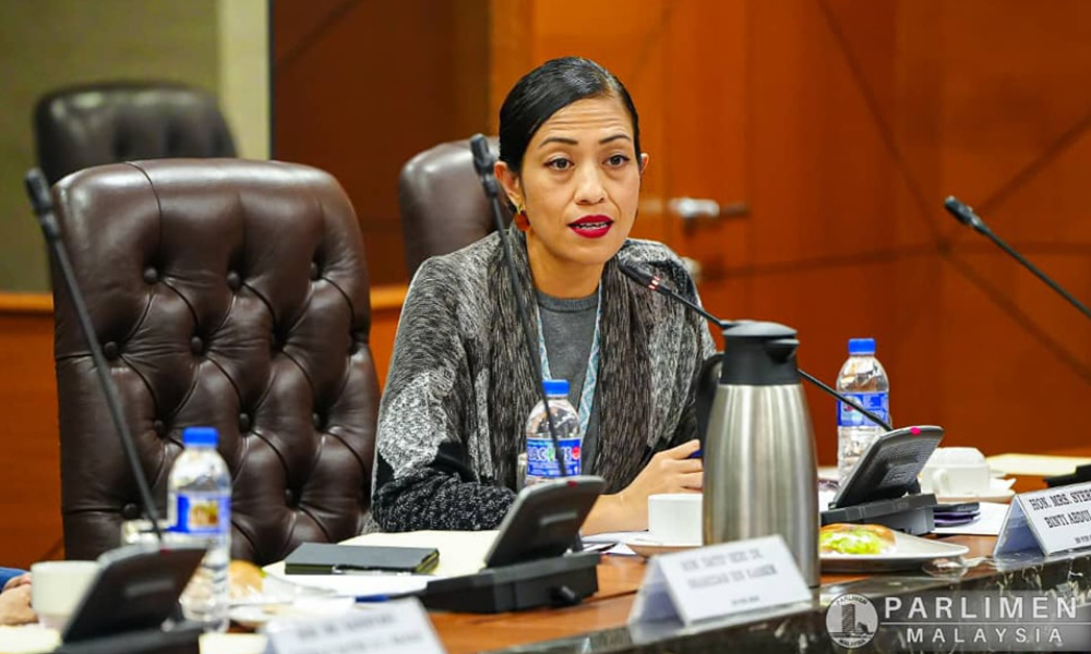 Urgent reform needed in social media regulations to protect kids: DAP MP