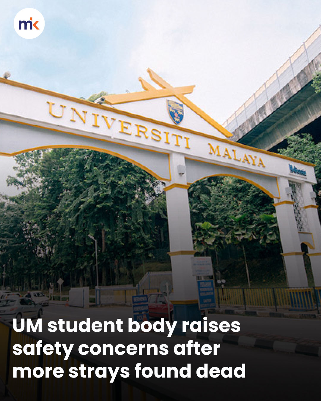 UM student body raises safety concerns after more strays found dead