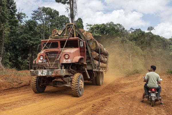 Penduduk kampung melihat lori membawa balak keluar dari hutan.