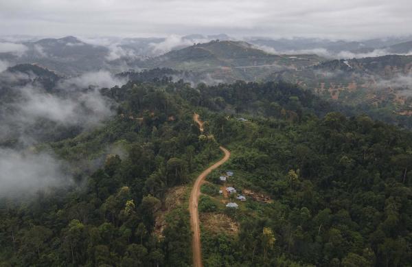 Kampung Kelaik, Gua Musang, Kelatan.