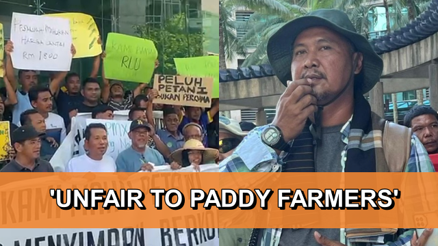 ‘Unfair to us’ - Rice farmers rally in Putrajaya, oppose paddy floor price