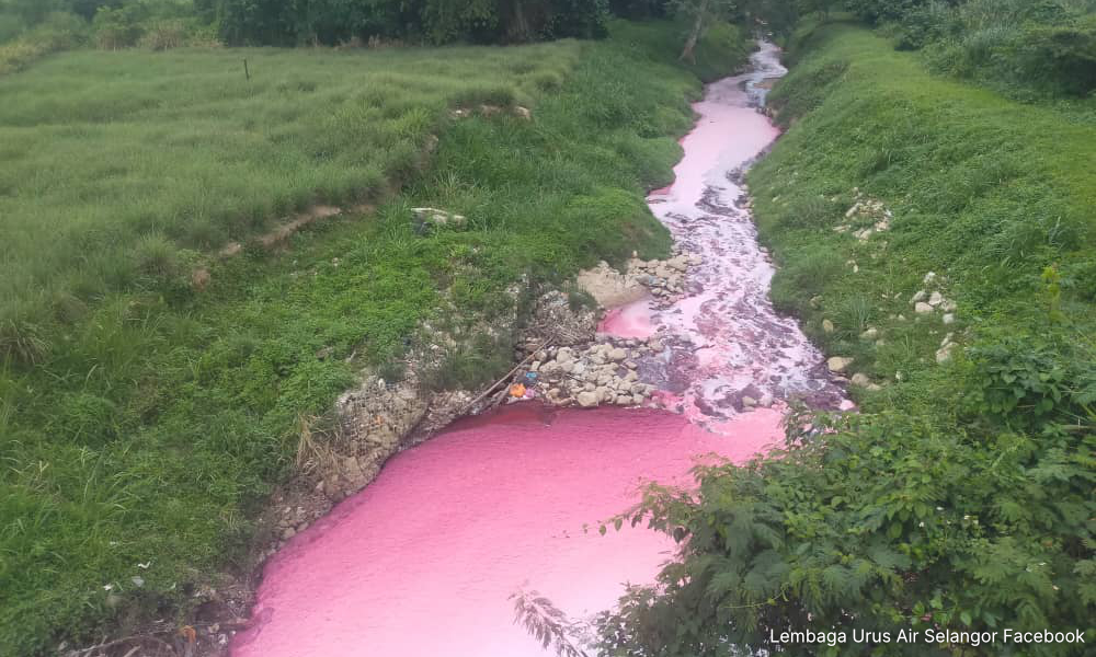 Selangor river turns pink, factory ordered to clean up