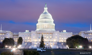 COMMENT | Navigating the news maze from Washington DC