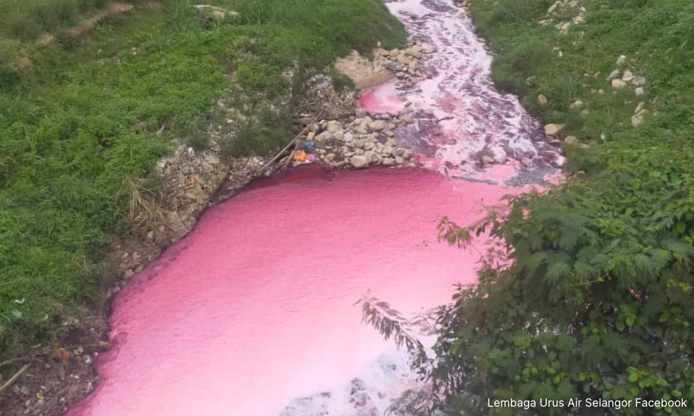Sungai Kabul merah jambu, Luas aktifkan kod kuning