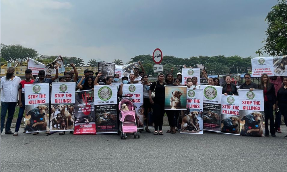 Pencinta haiwan berdemo kecam pembunuhan anjing