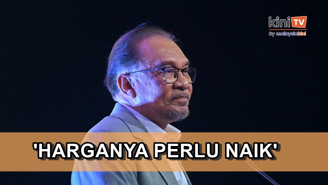 Anwar sahkan kenaikan tarif elektrik tahun ini