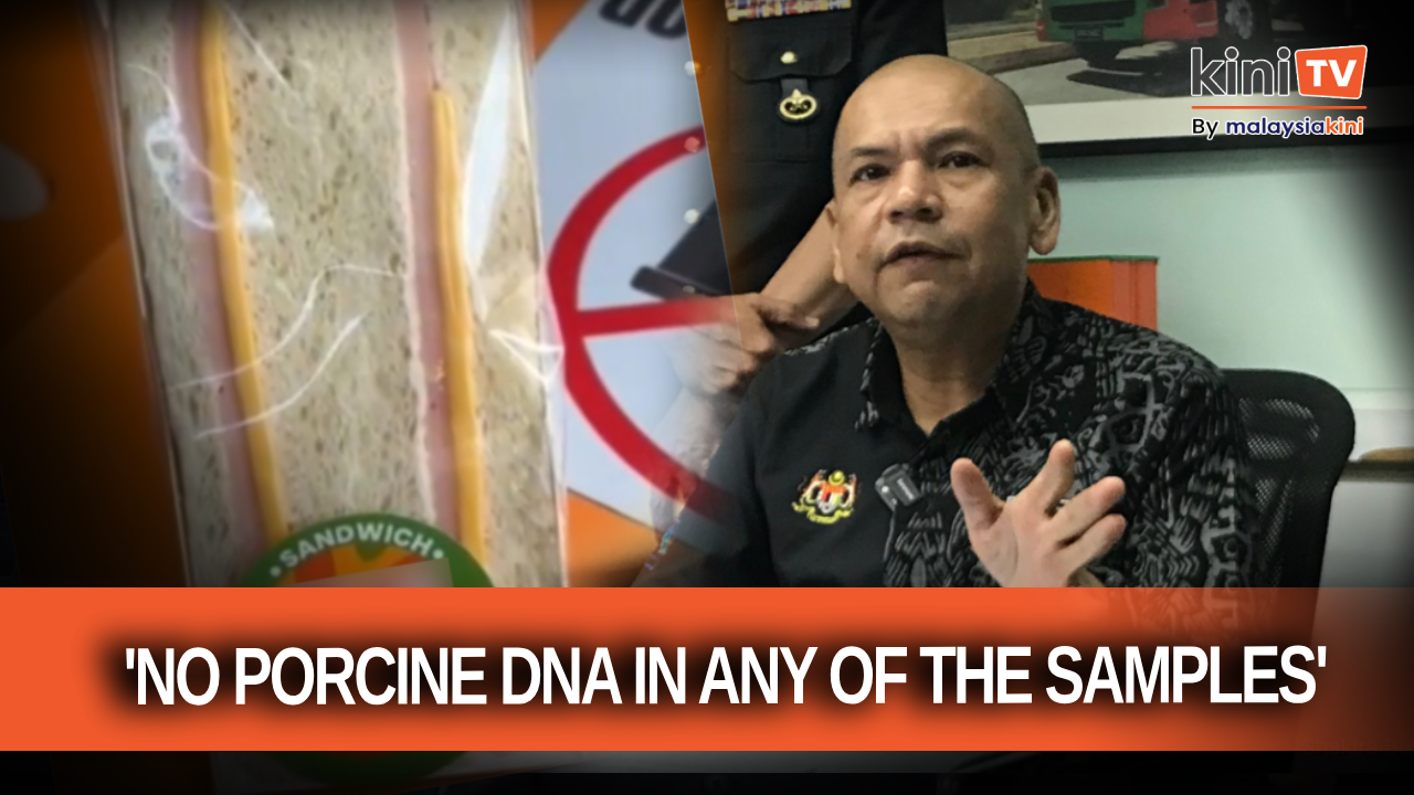 No porcine DNA in controversial 'ham' sandwich, says minister