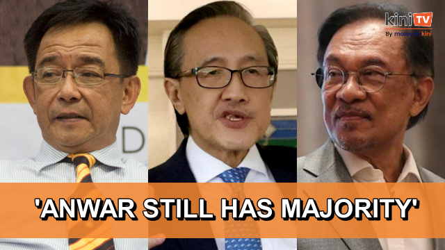 GPS, GRS brush off Anwar ouster talk, say no to snap election