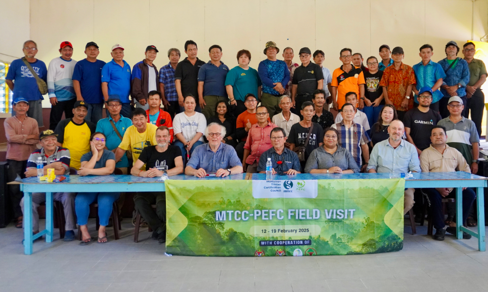 Timber scheme: Samling withdraws concessions, S'wak natives celebrate