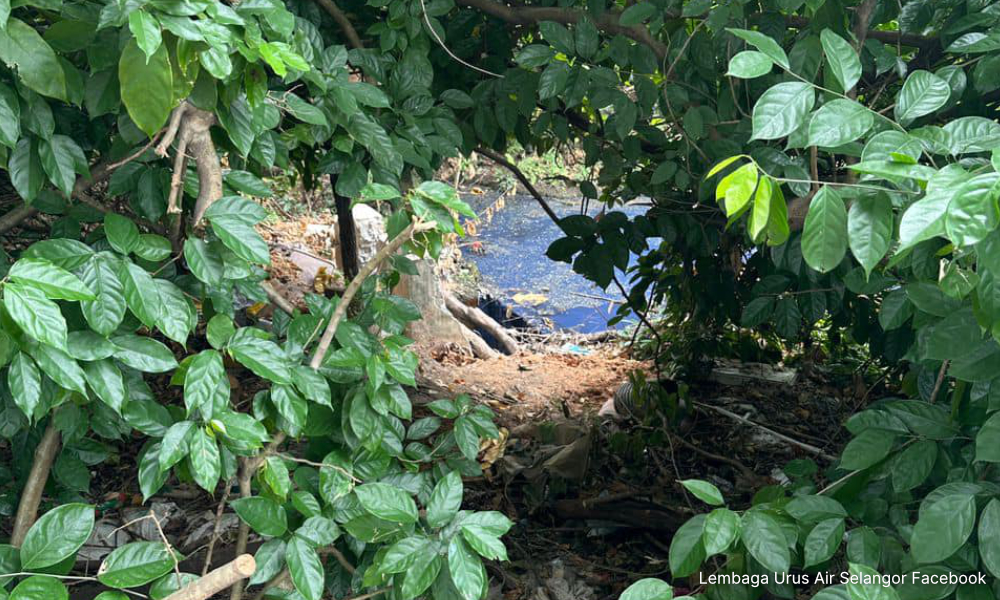 Authorities close box printing firm after pollution found in Sungai Kabul