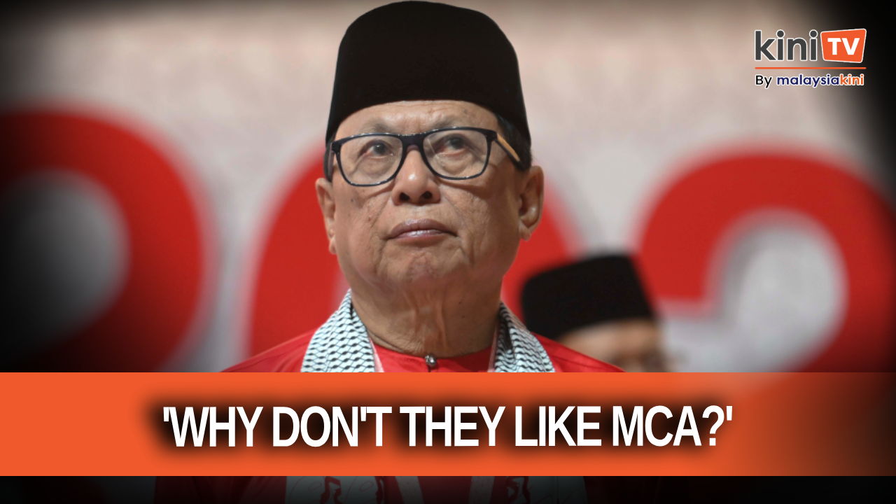 Tan should ask why non-Malays don't support MCA, says Puad