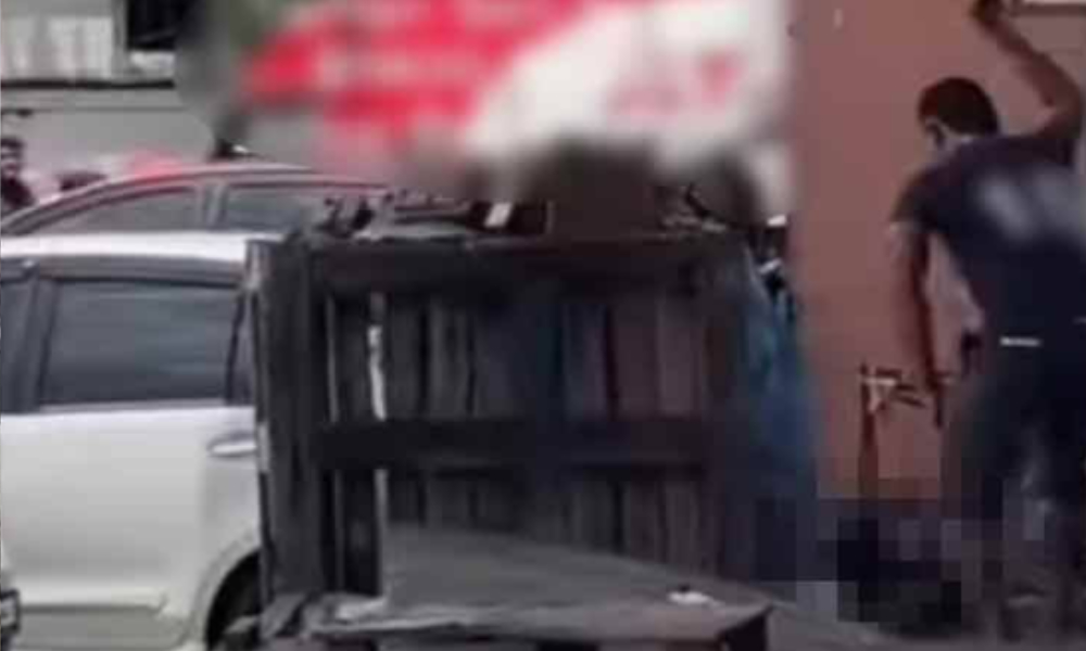 Johor police arrest suspect in viral dog abuse case