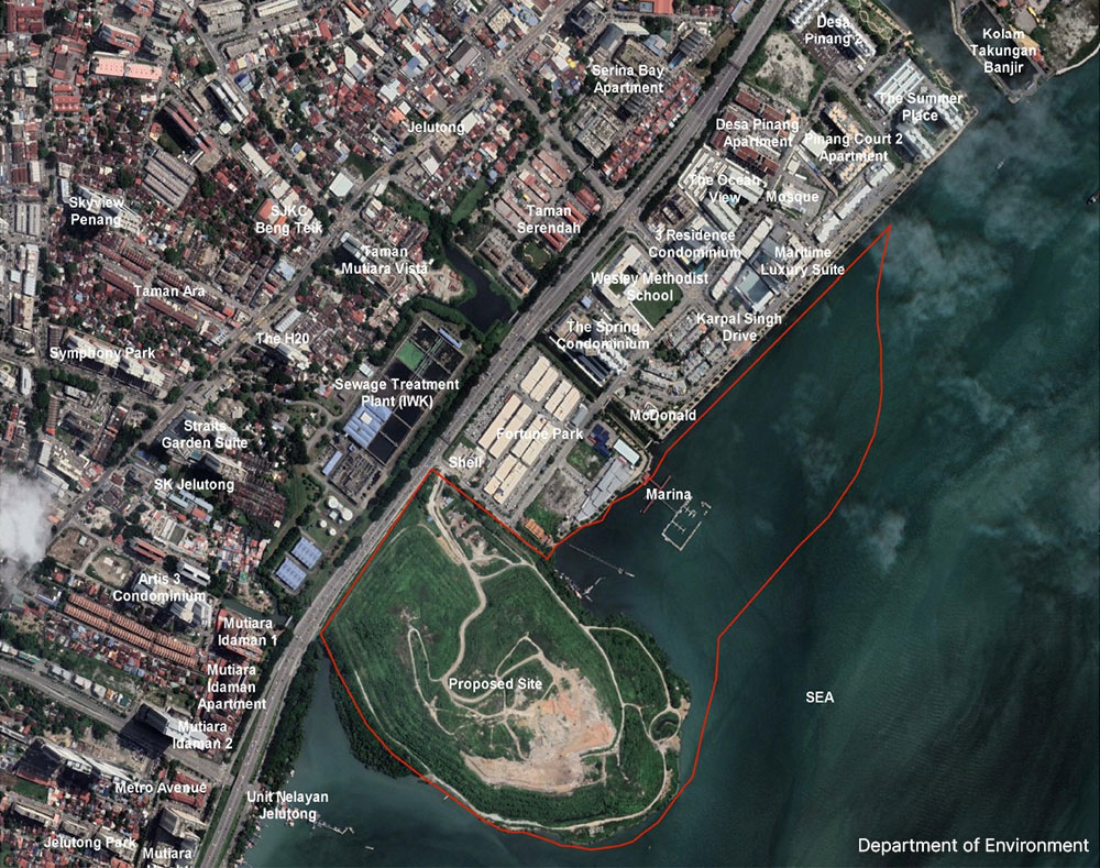 Jelutong reclamation risks vital ecosystem, it's not the only threat