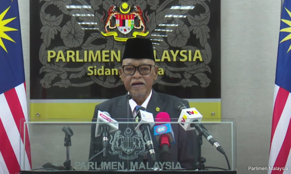 Langkawi MP wants special island for stray dogs