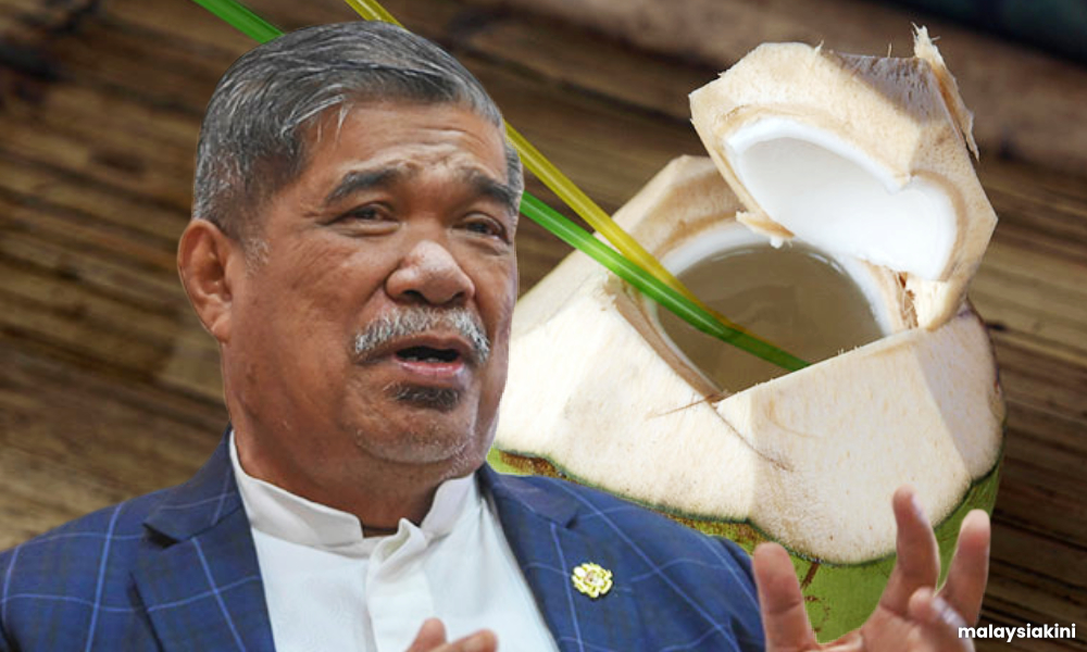 Trend cenderung jual kelapa muda antara punca harga santan naik