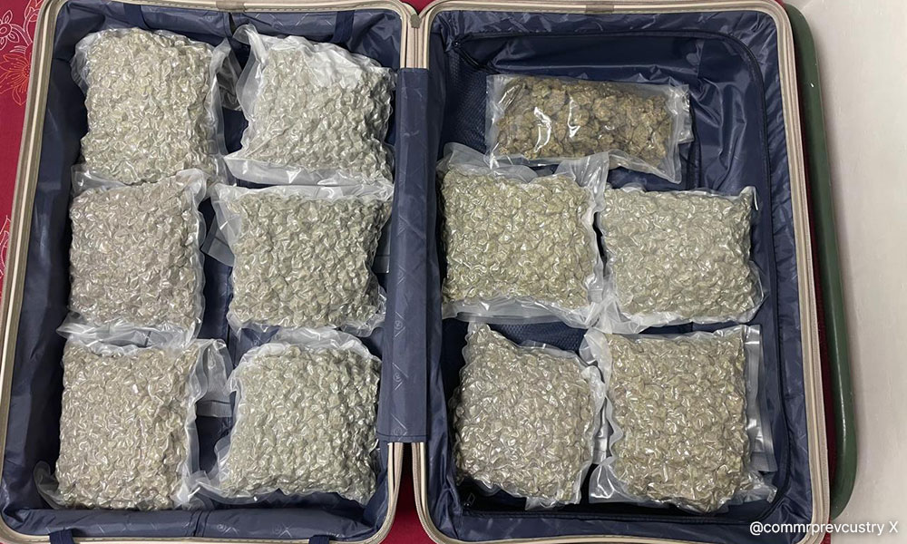 Indian authorities seize RM2.64m in cannabis from KL flight passenger