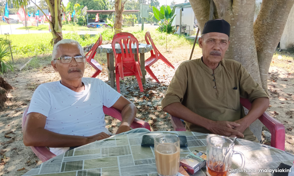 PN all in on Ayer Kuning pig farm issue, are voters swayed?