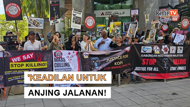 'Henti bunuh anjing jalanan!' - NGO serah memorandum pada k'jaan
