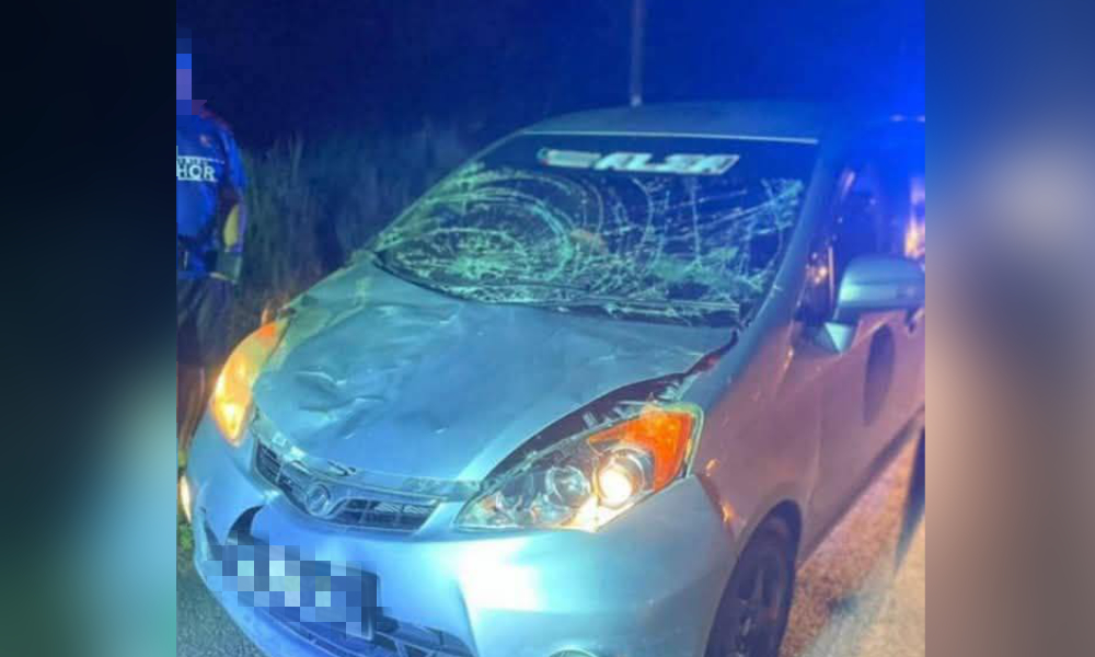 Couple escapes unhurt after car hits elephant in Johor