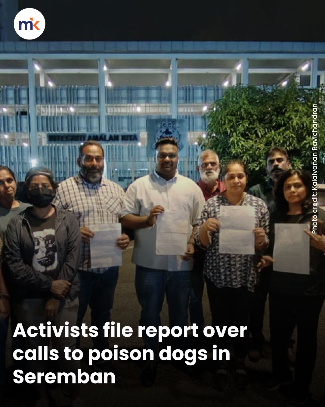 Activists file report over calls to poison dogs in Seremban