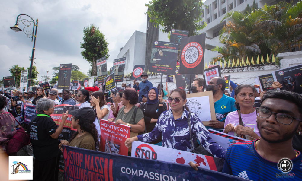 Over 300 protest Negeri Sembilan's stance on culling stray dogs