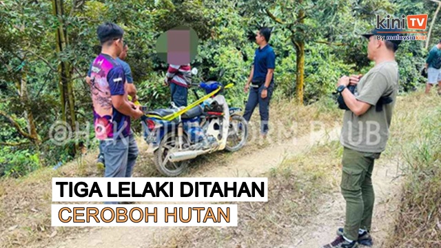 Polis tahan 3 lelaki termasuk warga asing ceroboh hutan simpan di Raub