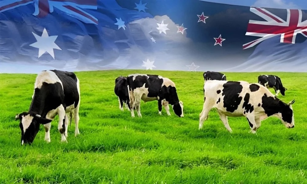 Australia berunding tingkat eksport daging halal ke Malaysia