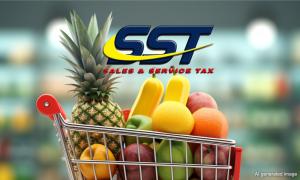 Retailers flag cost burden from expanded SST, seek postponement