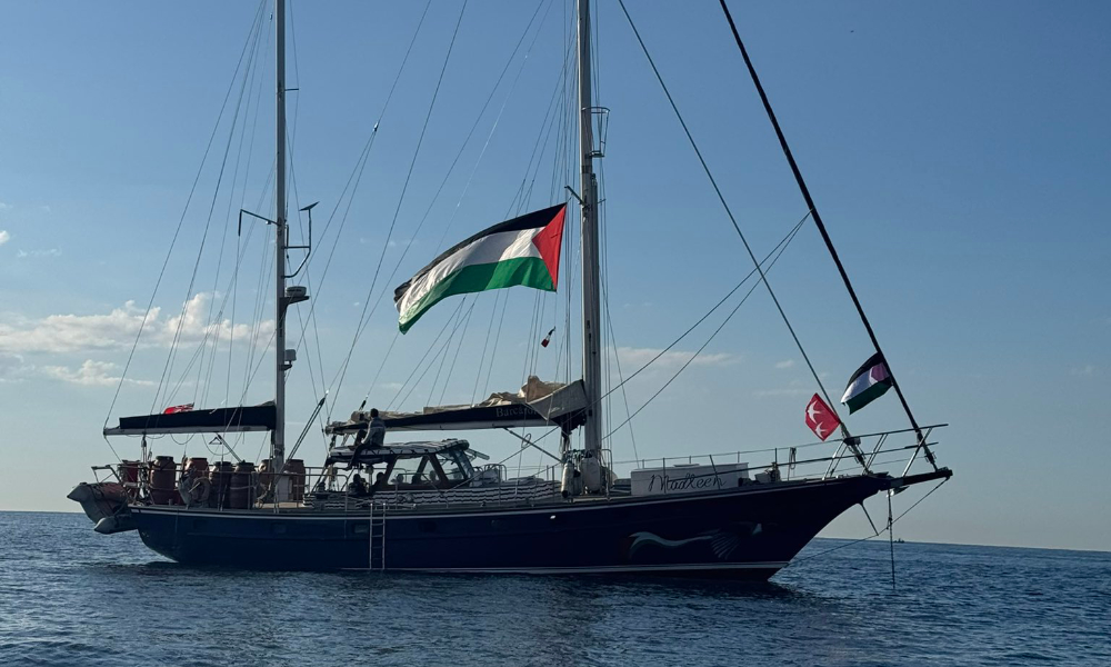 Nine M'sians in two Gaza flotilla missions released